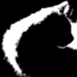 Meet your Posher, Crazy